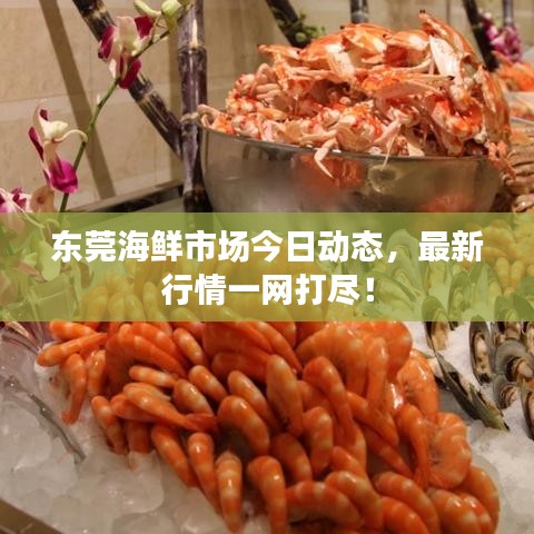東莞海鮮市場(chǎng)今日動(dòng)態(tài)，最新行情一網(wǎng)打盡！