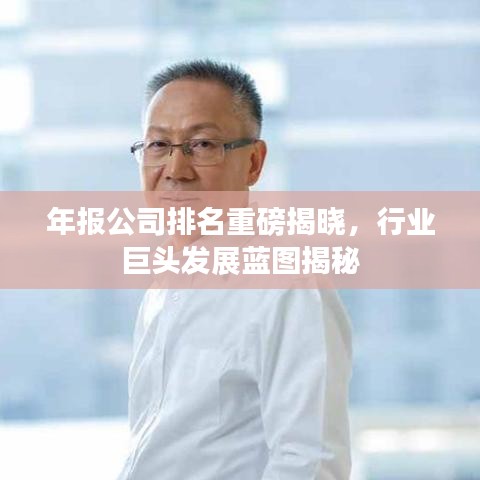 年報(bào)公司排名重磅揭曉，行業(yè)巨頭發(fā)展藍(lán)圖揭秘