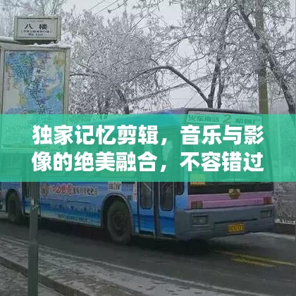 獨(dú)家記憶剪輯，音樂與影像的絕美融合，不容錯(cuò)過！