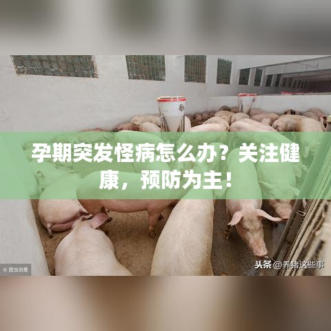 孕期突發(fā)怪病怎么辦？關(guān)注健康，預(yù)防為主！