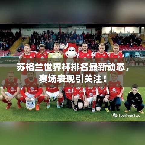 蘇格蘭世界杯排名最新動態(tài)，賽場表現(xiàn)引關注！