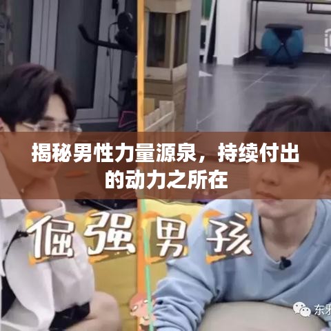 揭秘男性力量源泉，持續(xù)付出的動力之所在