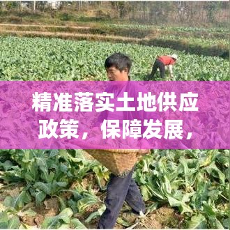精準(zhǔn)落實土地供應(yīng)政策，保障發(fā)展，守護(hù)耕地安全