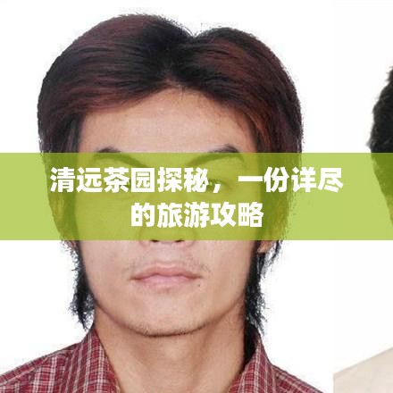 清遠(yuǎn)茶園探秘，一份詳盡的旅游攻略