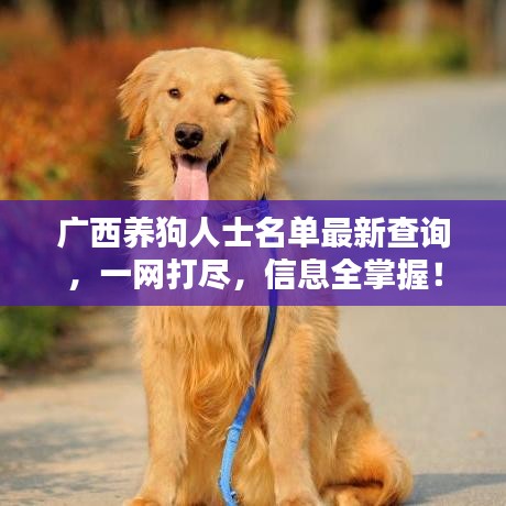 廣西養(yǎng)狗人士名單最新查詢，一網(wǎng)打盡，信息全掌握！
