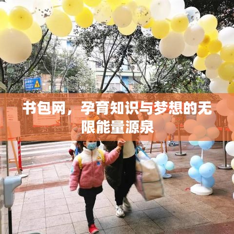 書包網(wǎng)，孕育知識(shí)與夢想的無限能量源泉