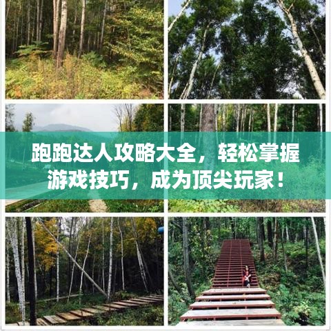 跑跑達人攻略大全，輕松掌握游戲技巧，成為頂尖玩家！