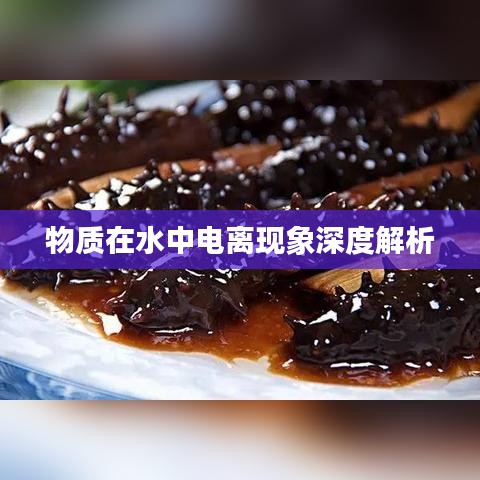 物質(zhì)在水中電離現(xiàn)象深度解析