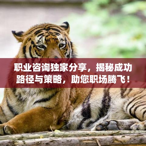 職業(yè)咨詢獨(dú)家分享，揭秘成功路徑與策略，助您職場騰飛！