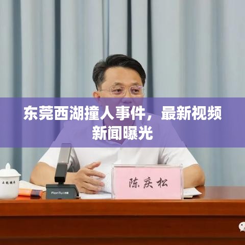 東莞西湖撞人事件，最新視頻新聞曝光