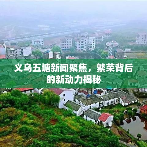 義烏五塘新聞聚焦，繁榮背后的新動(dòng)力揭秘