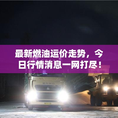 最新燃油運價走勢，今日行情消息一網(wǎng)打盡！