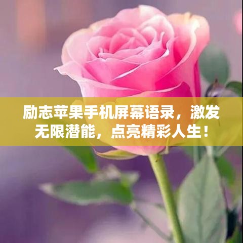 勵志蘋果手機(jī)屏幕語錄，激發(fā)無限潛能，點(diǎn)亮精彩人生！